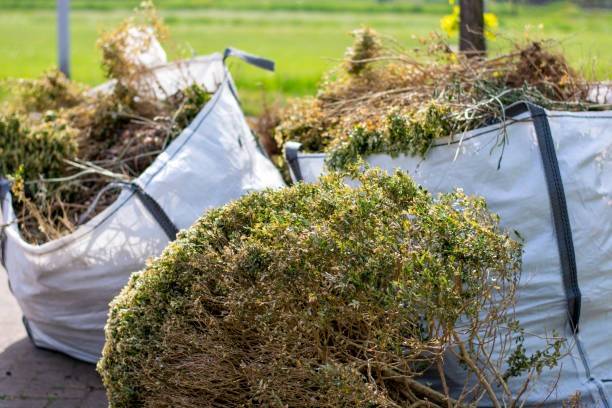 Best Recycling Services for Junk  in Bent, NE